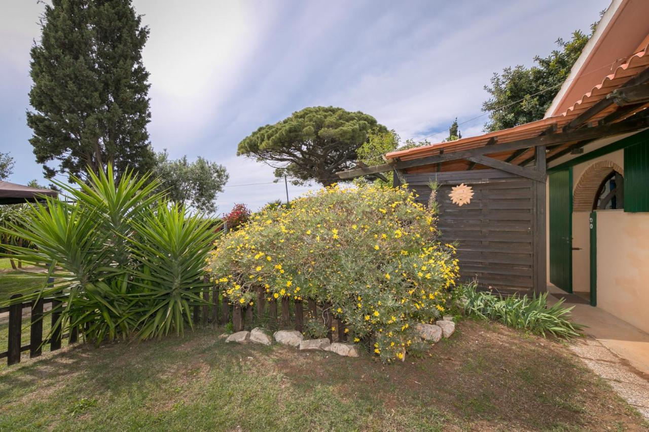 Podere Isabella ซานวินเชนโซ ภายนอก รูปภาพ