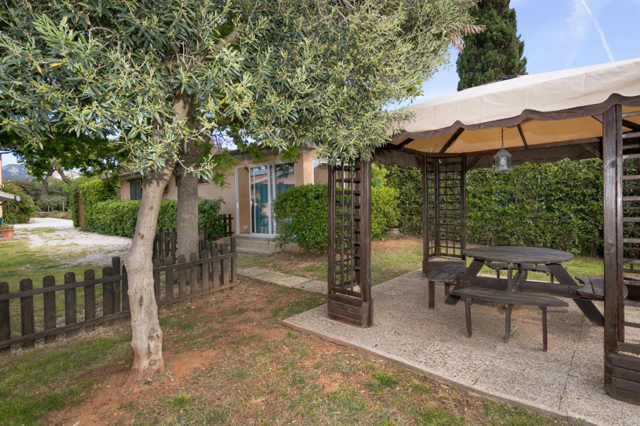Podere Isabella ซานวินเชนโซ ภายนอก รูปภาพ